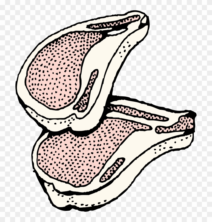 Pork Clipart Black And White - Png Download #3757647