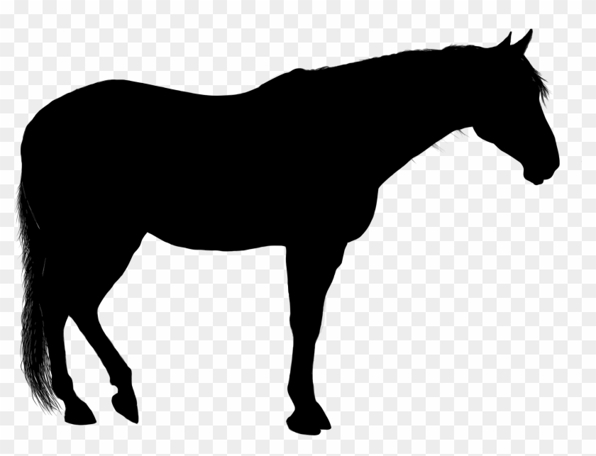 Standing Horse Silhouette Icons Png - Standing Horse Silhouette Clipart #3757936