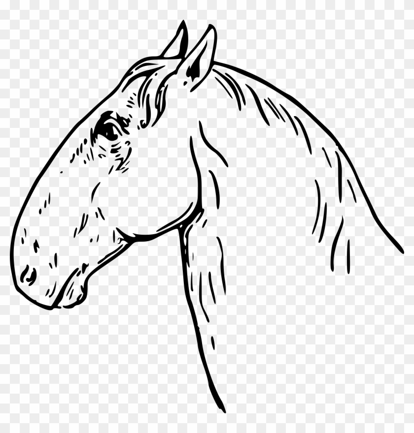 Caballos Cabeza De Carnero Clipart #3758057