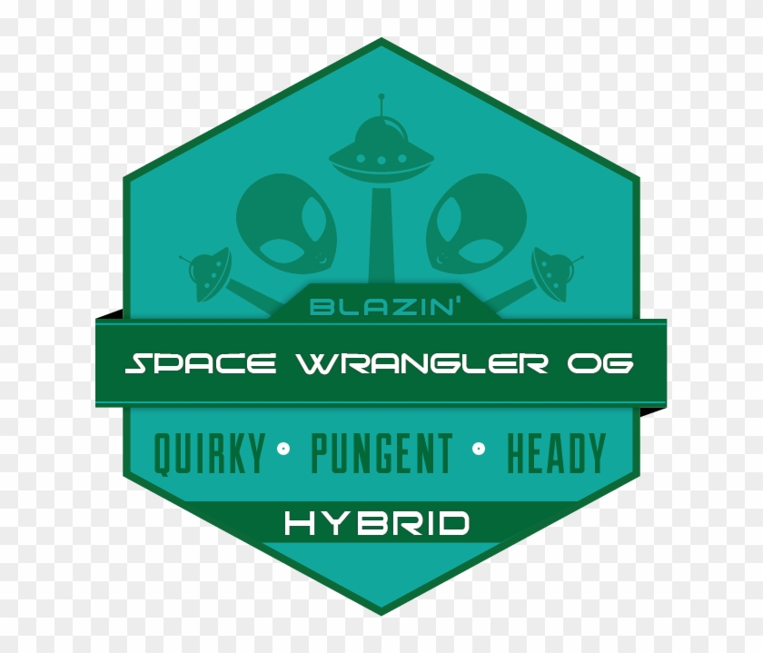 Blazin' Space Wrangler Og Gallery - Trail Blazin Clipart #3758454