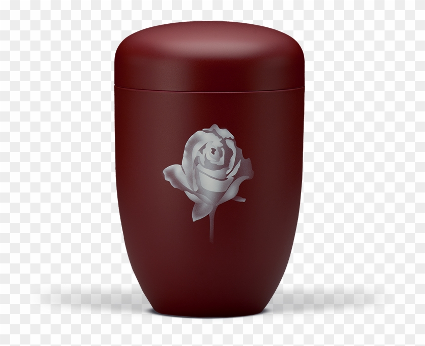 Stahlurne, Weinrot Velours, Airbrush Rose - Garden Roses Clipart #3758663