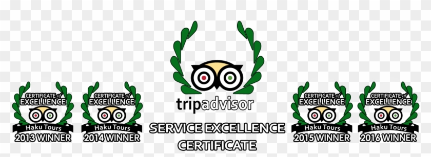 Trip Advisor Award Haku Tours - Tripadvisor Clipart #3758664
