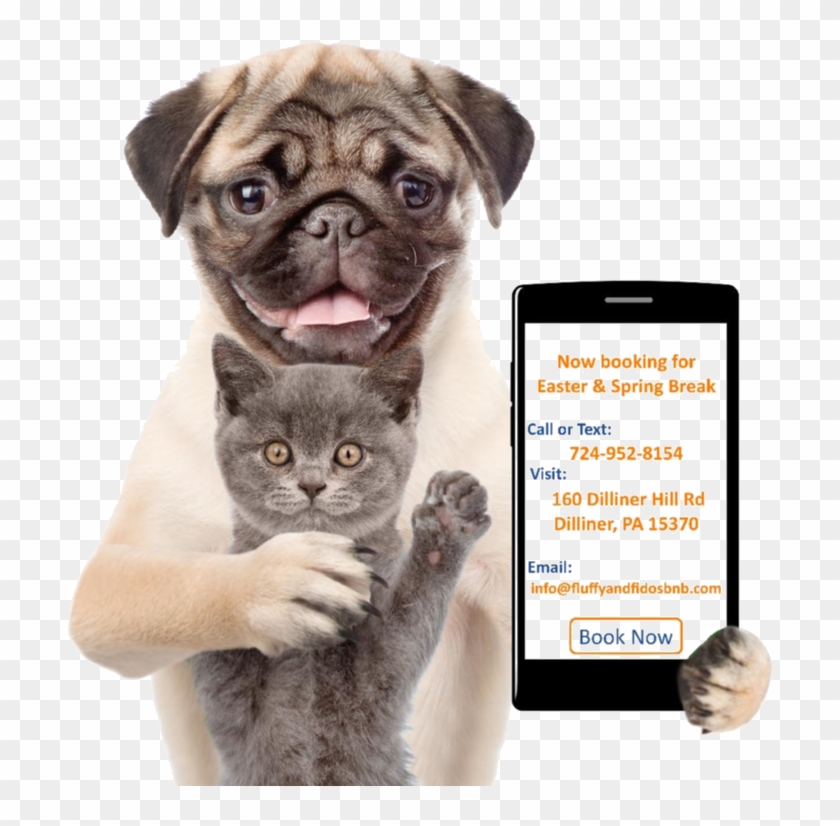 If You're Anything Like Us, You Hate Leaving Your Pets - Dog And Cat Beer Clipart