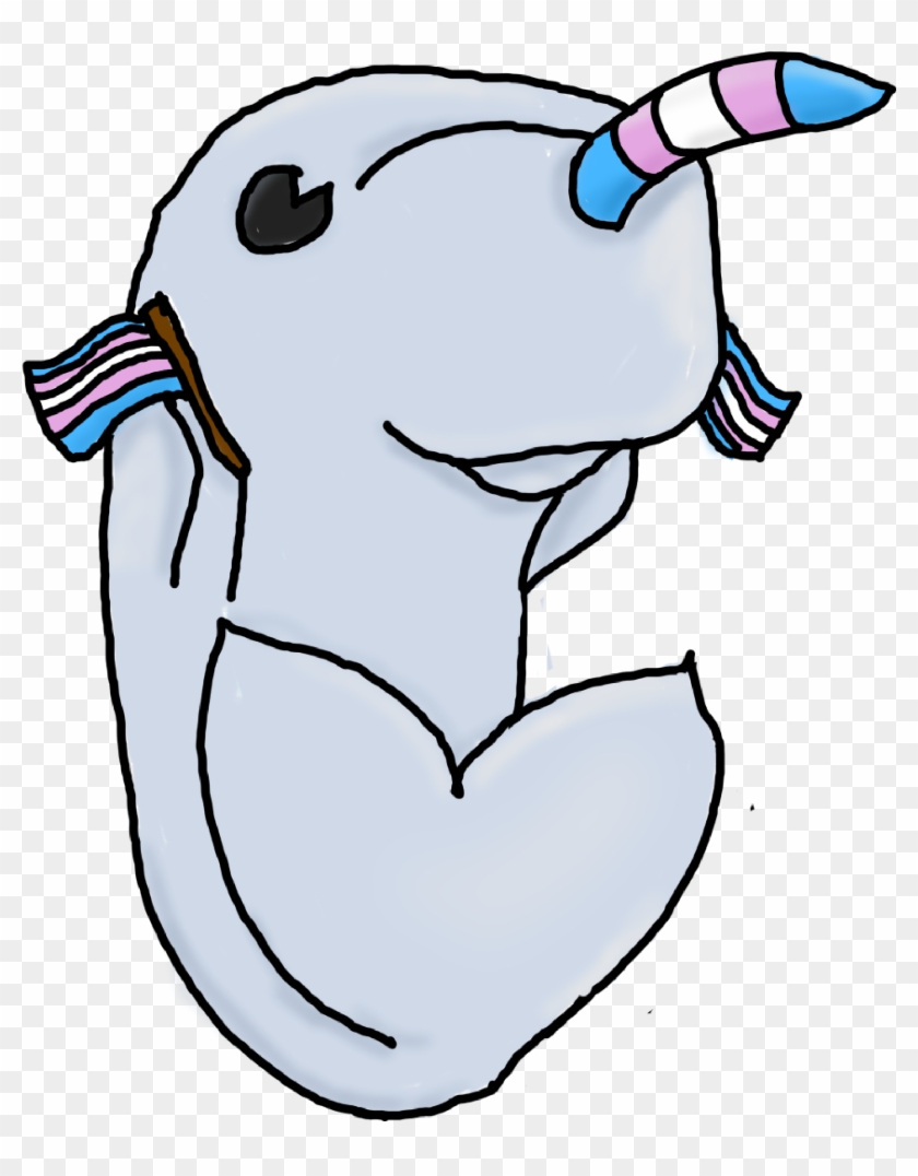 Drawn Narwhal Fluffy - Cartoon Clipart