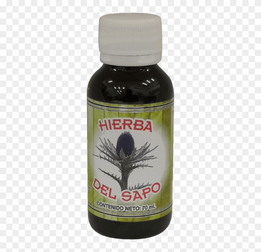 Hierba Del Sapo Wendyjaz Essential® - Evening Primrose Clipart #3761507