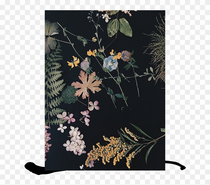 Home Decor - “ - Motif Clipart