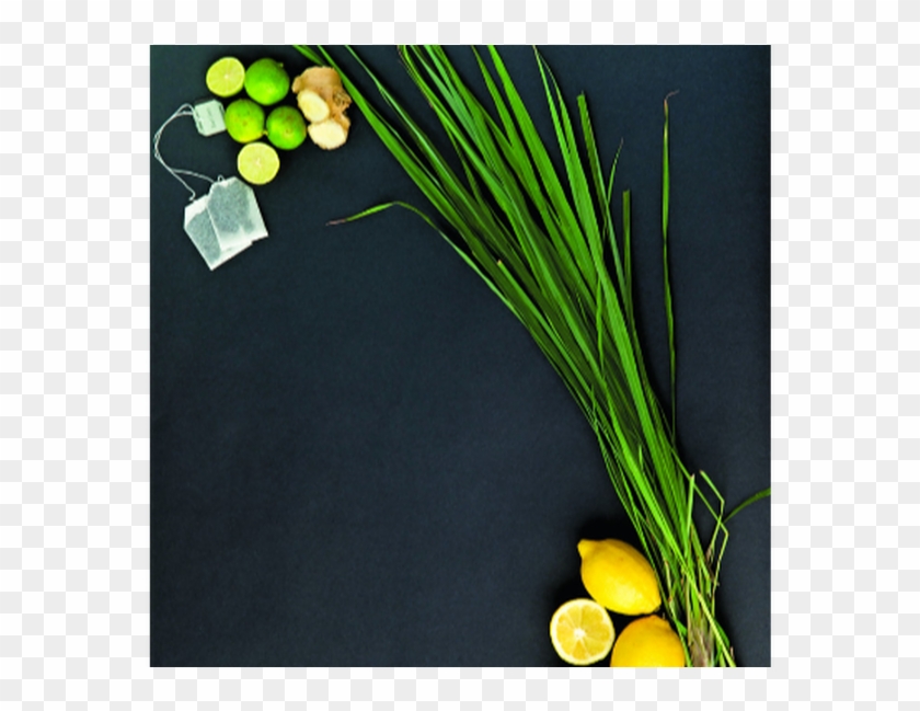 Welsh Onion Clipart #3762019