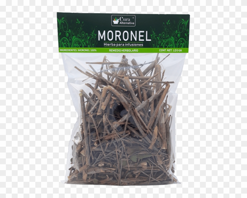 Planta Moronel - Moronel Para Que Sirve Clipart #3762136
