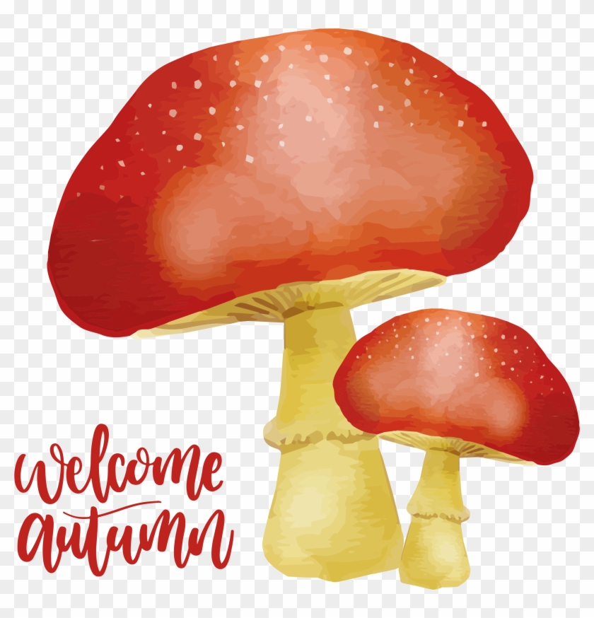 Autumn Watercolor Painting Download - Agaricus Clipart