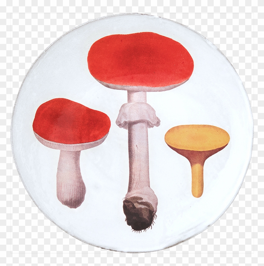 Edible Mushroom Clipart@pikpng.com