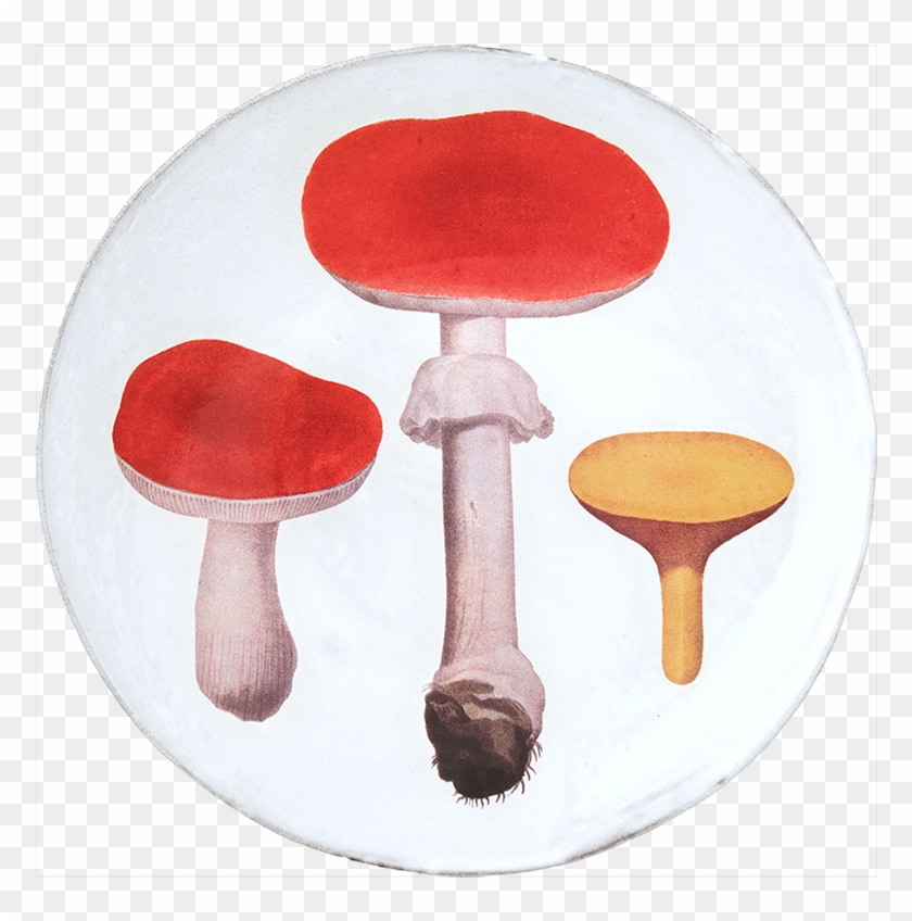 Edible Mushroom Clipart