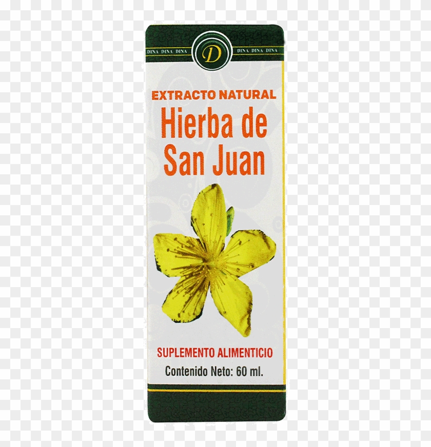 Damiana Clipart #3762502