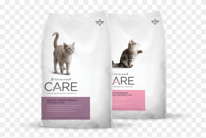 Diamond Care For Cats - Non-sporting Group Clipart