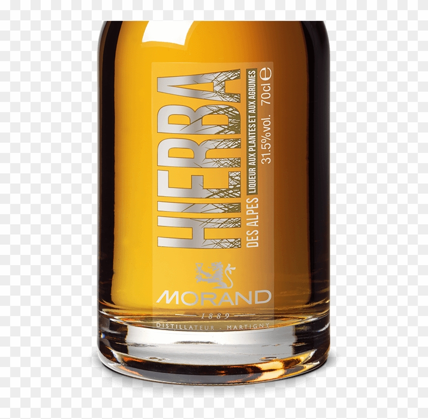 Prev - Beer Clipart #3762945