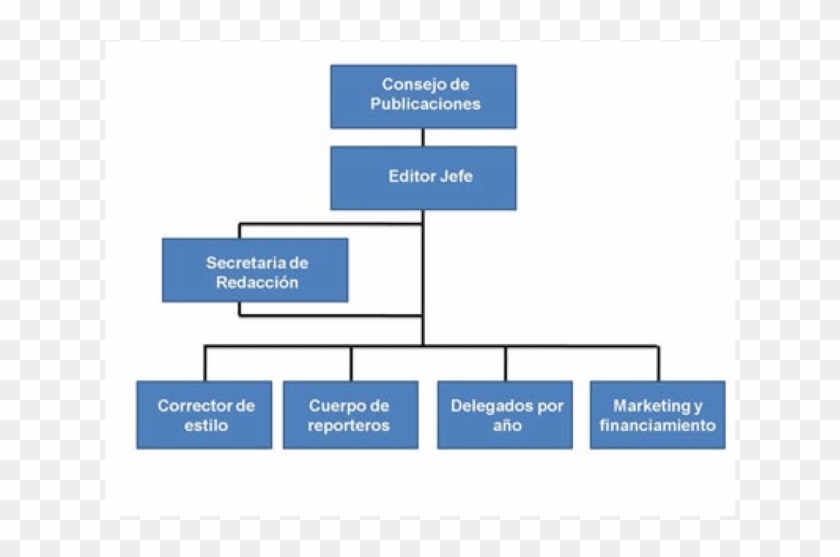 Organigrama Propuesto Para El Periódico Digital-laboratorio - Organigrama De Un Periodico Digital Clipart