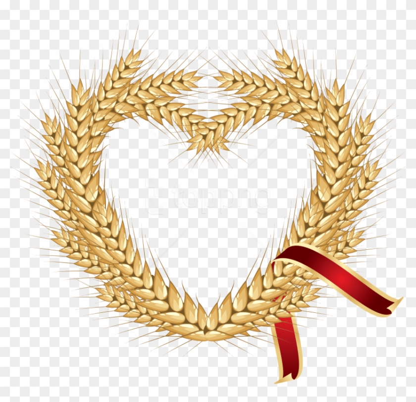 Free Png Download Wheat Png Images Background Png Images - Brasão Trigo Dourado Png Clipart