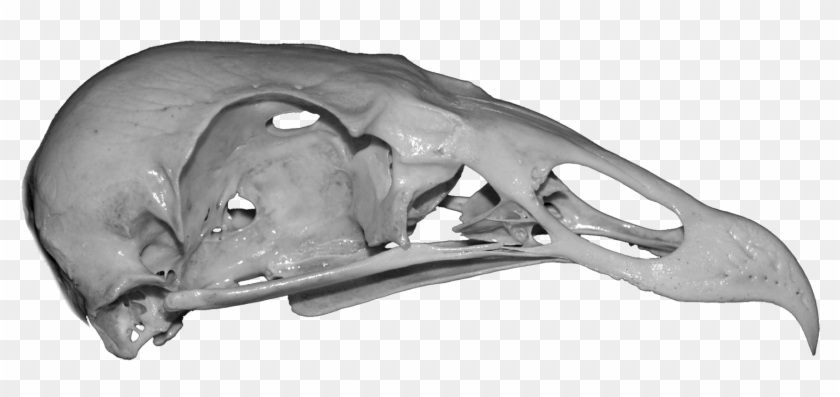 The Only Entrance To This Humble Abode Is A Partially-detached - Monochrome Clipart #3764812