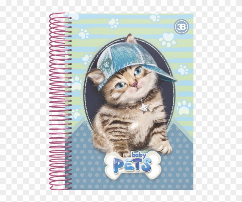 Baby Pets 4 - Tabby Cat Clipart #3765023