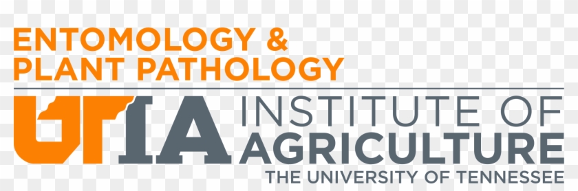 Epp Logo - Orange Clipart