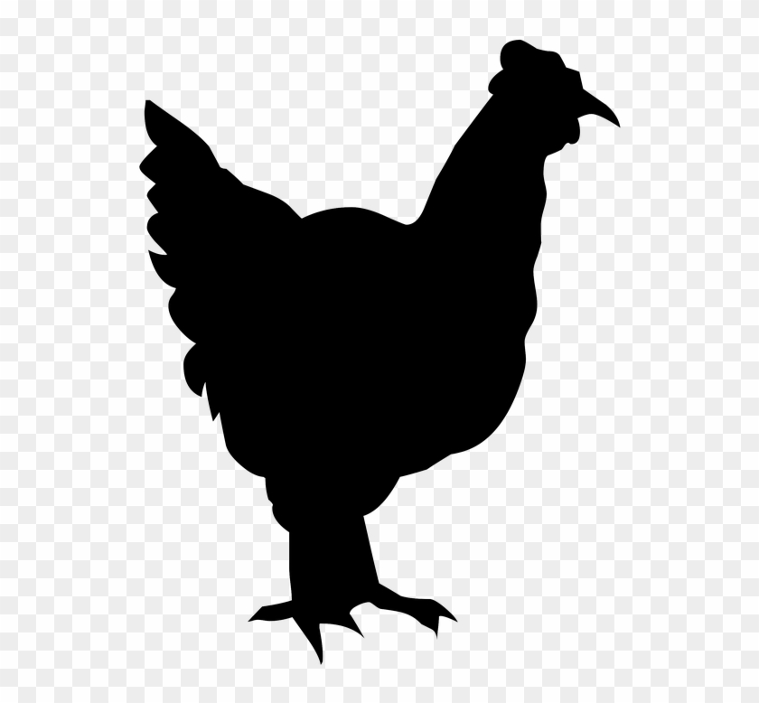 Silhouette Drawing Outline Chicken Poultry Nature - Pollo Silueta Png Clipart