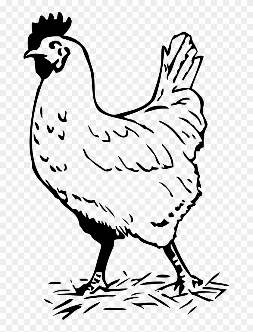 Download Png - Hen Black And White Clipart #3766034