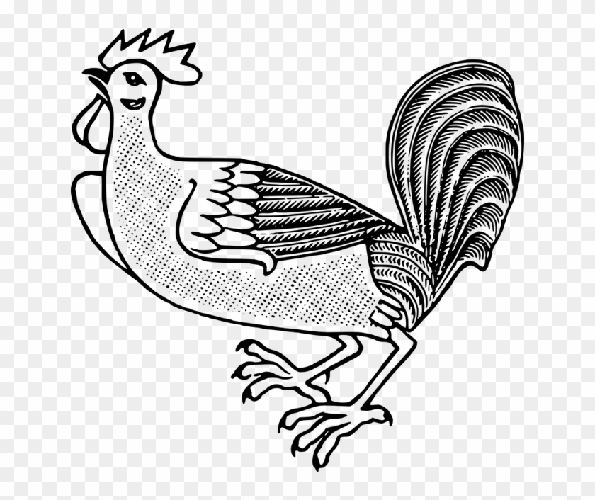 Farm Animal Cockerel Rooster Clipart