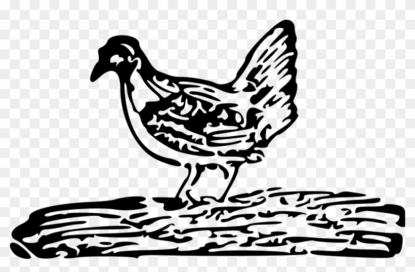 Cherokeeprimer P4 Chicken - Rooster Clipart #3766346