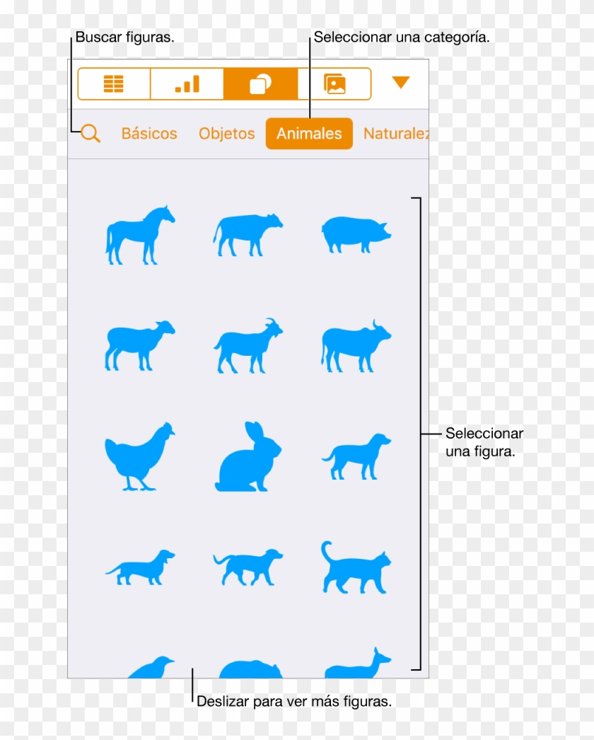 La Biblioteca De Figuras, Con Las Categorías En La - Shape Clipart