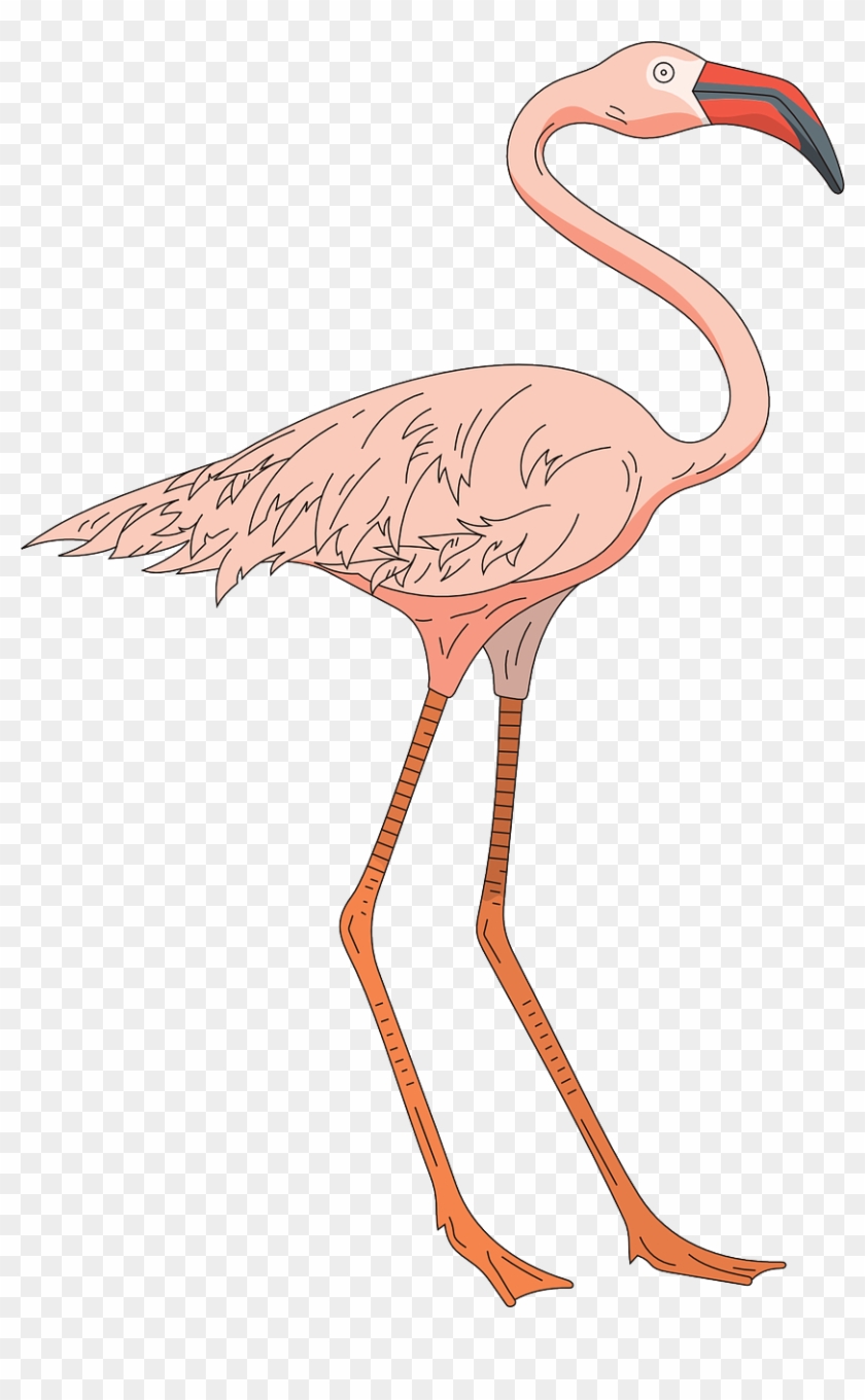 Clip Art - Png Download #3767571