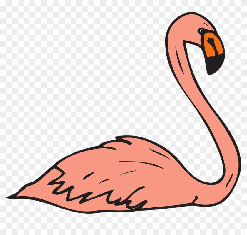 Flamingo Swimming Clipart - Png Download