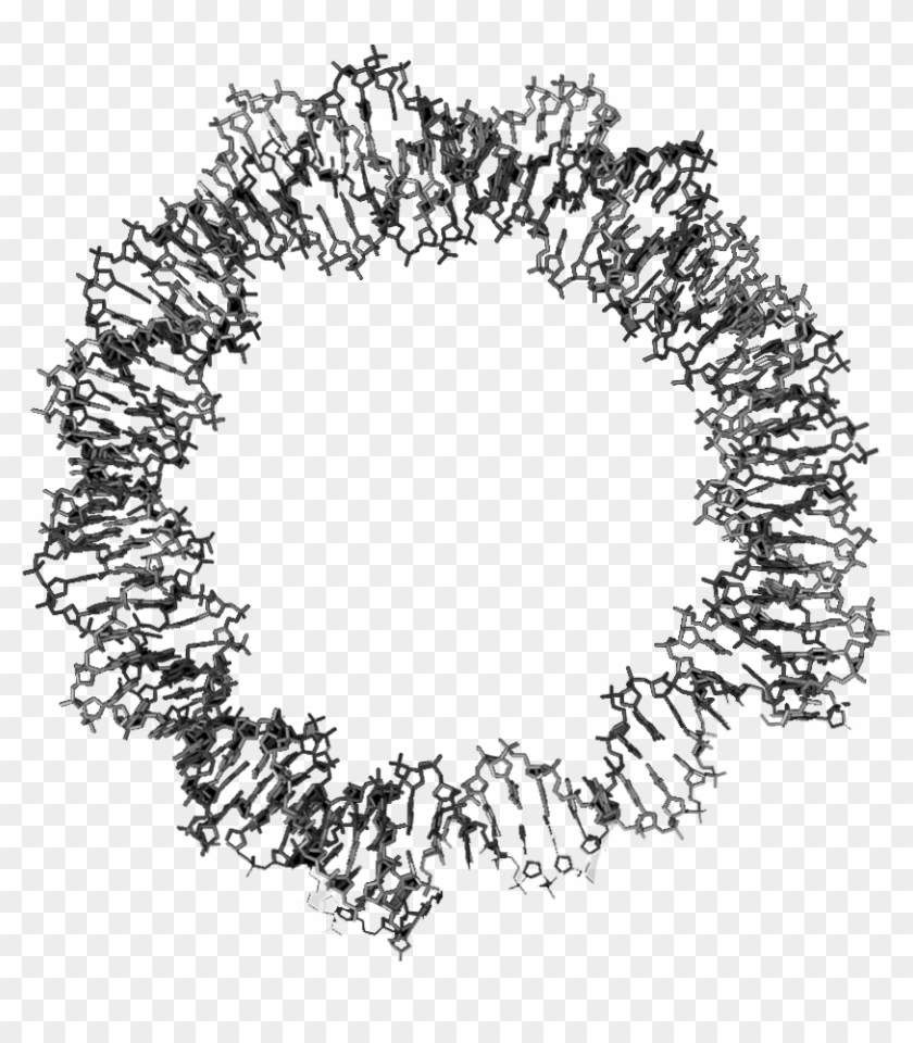 Dna Background Copy - Circle Clipart