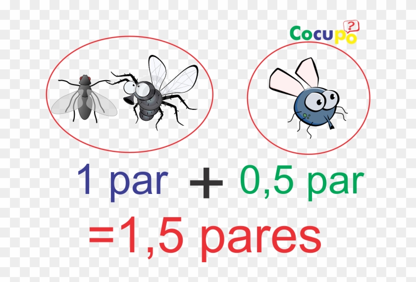 Cuantas Moscas Son Tres Pares - Cuantos Pares Son 3 Moscas Clipart