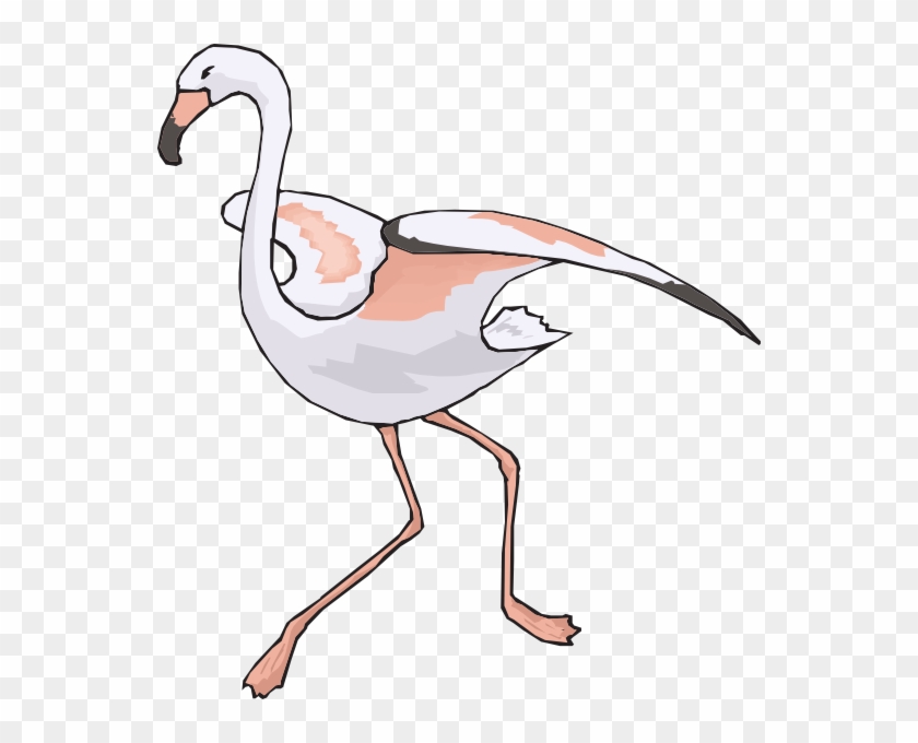 นก กระสา การ์ตูน Png Clipart