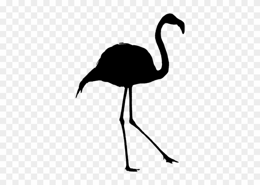 Silhouette Flamingo Outline Bird Shadow - Icon Flamingo Png Hitam Clipart