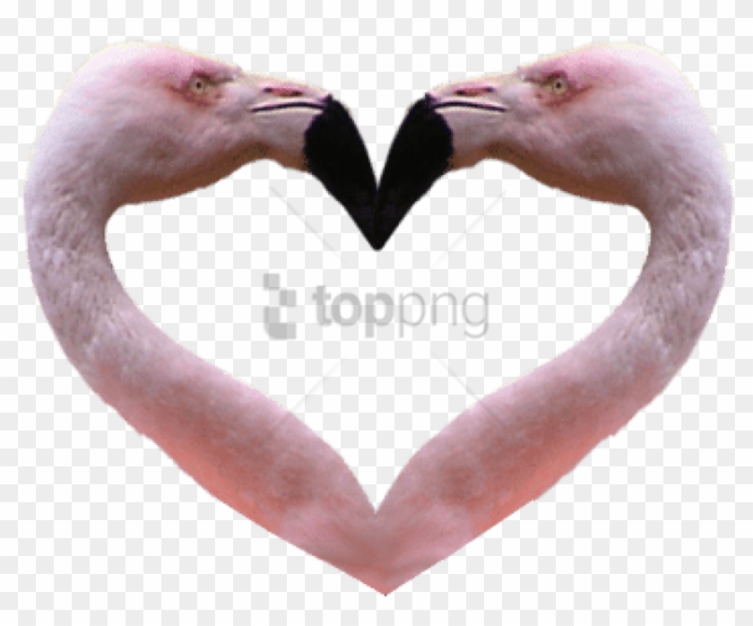Free Png Flamingos Background Png Image With Transparent - Transparent Background Anime Hearts Clipart