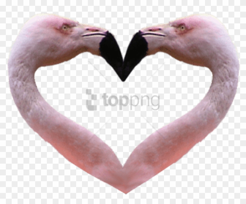 Free Png Flamingos Background Png Image With Transparent - Transparent Background Anime Hearts Clipart #3768282