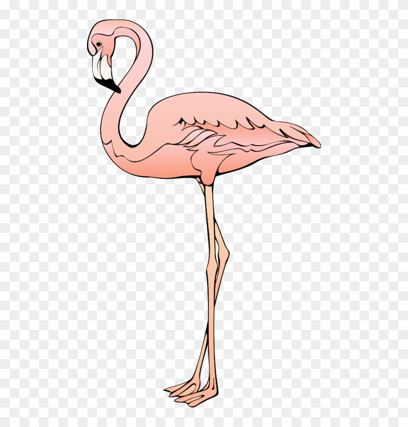 Bird 26 Free Vector - Flamingo Clip Art - Png Download