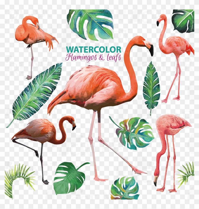 Picture Watercolor Flamingos With Water Design Bundles - Фламинго Клипарт Clipart