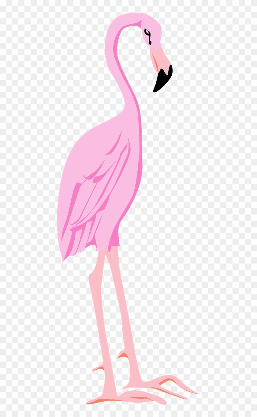 Flamingo Bird Wings - Crane Clipart #3768547