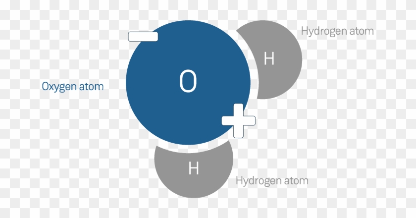 The Fact That Water Can Be Heated So Well In The Microwave - Circle Clipart #3769320