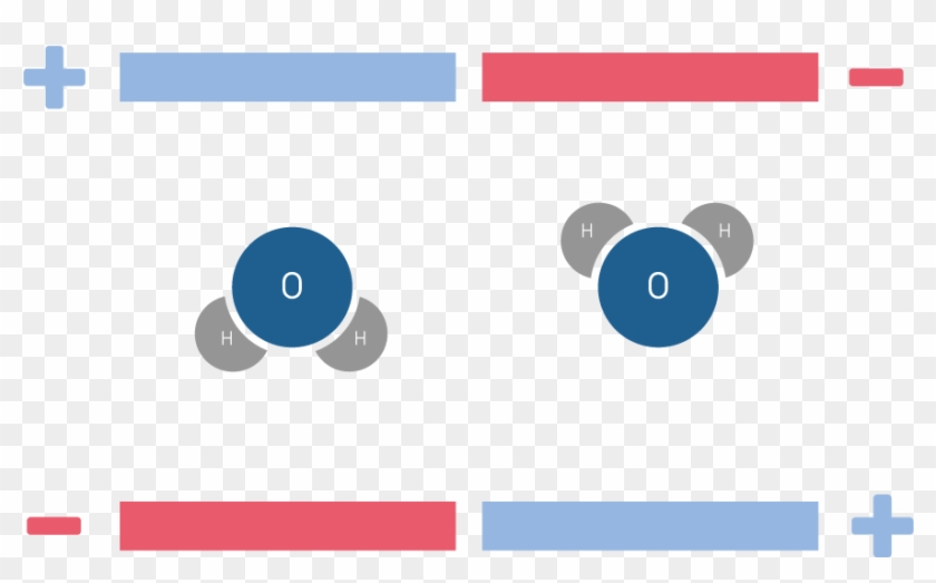 This Different Distribution Of Charges Creates An Interesting - Circle Clipart #3769486