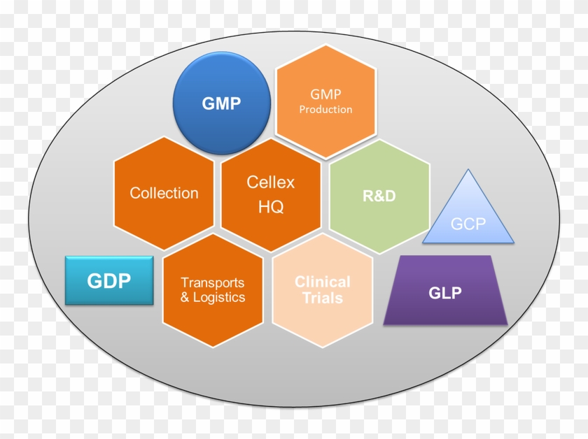 Cellex Is Offering Various Services Related To Cellular - Sustainability Value Chain Clipart #3770142