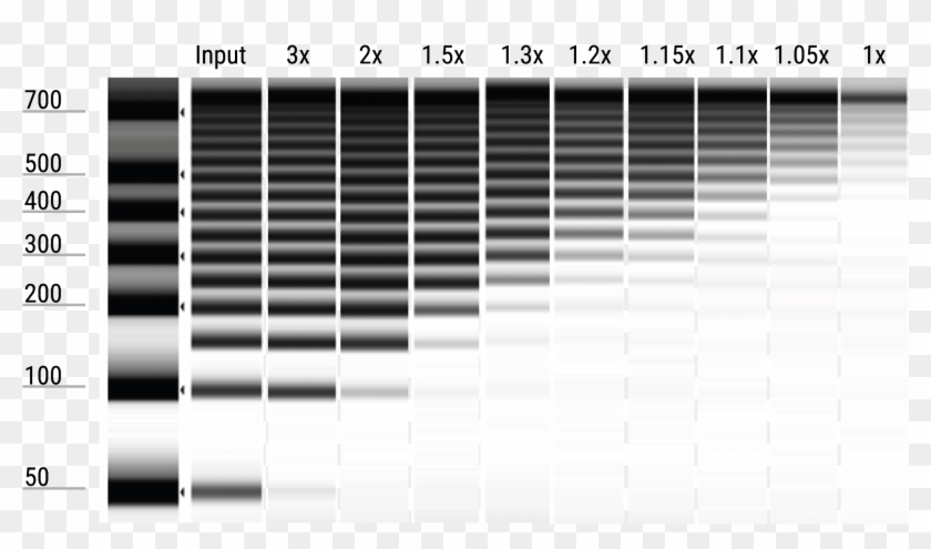 Dna Size Selection Chemistry - Ampure Bead Size Selection Clipart