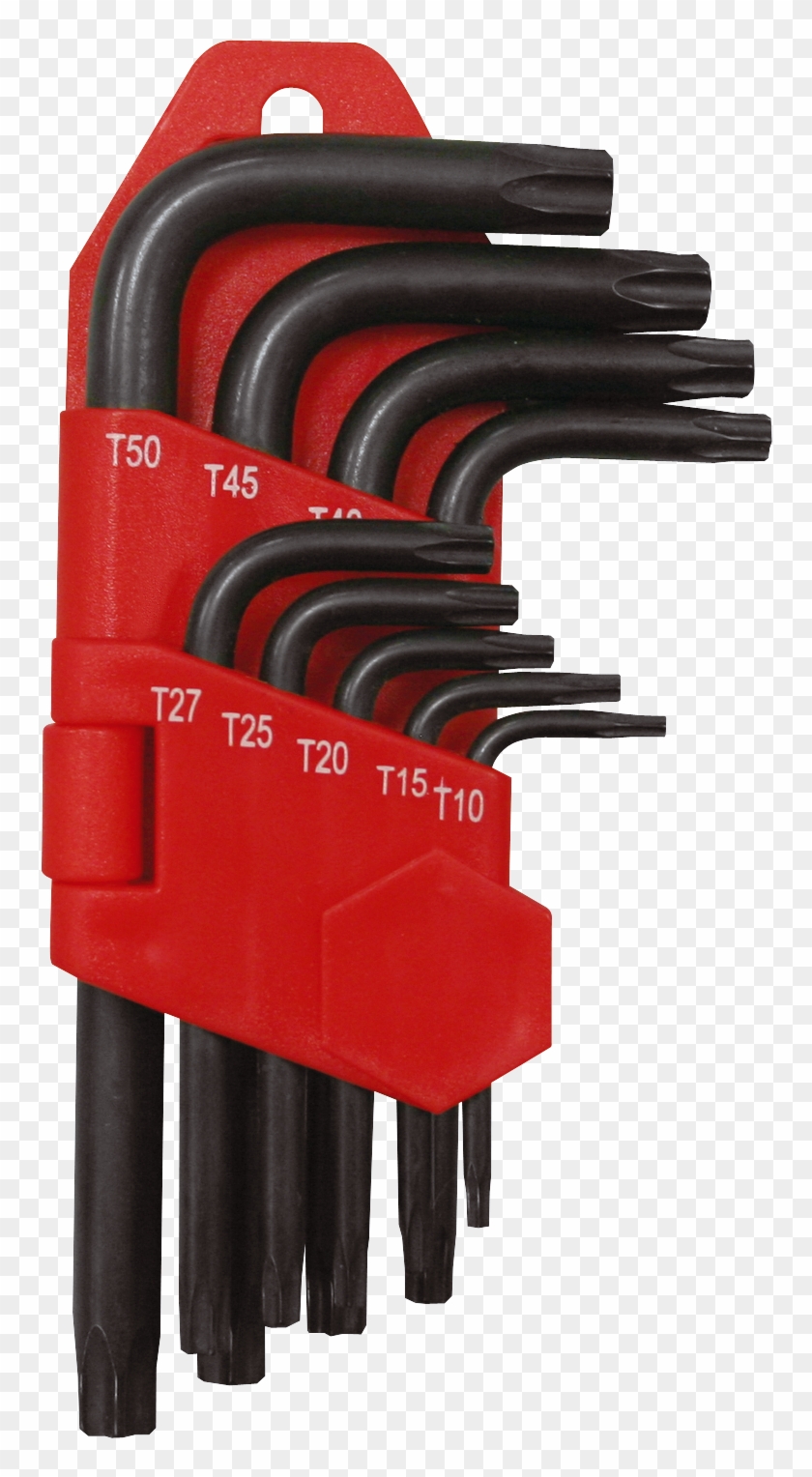 Cabeza - 65665 Ega Master Clipart #3771017