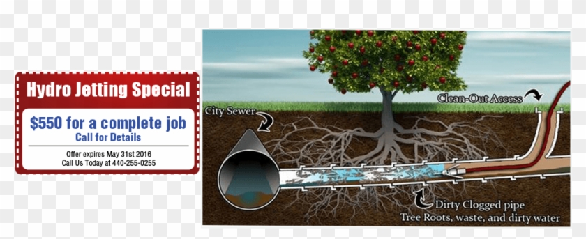 Plumber Fixing Pipe - Water Pipe Tree Roots Clipart #3771570
