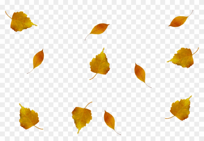 Composition, Photoshop, Autumn Leaves - Hojas De Otoño En Png Clipart #3772001