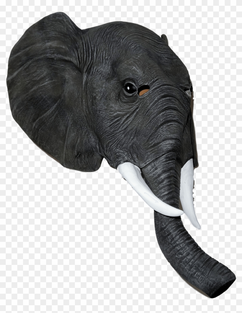 Elephant Mask Clipart #3772909