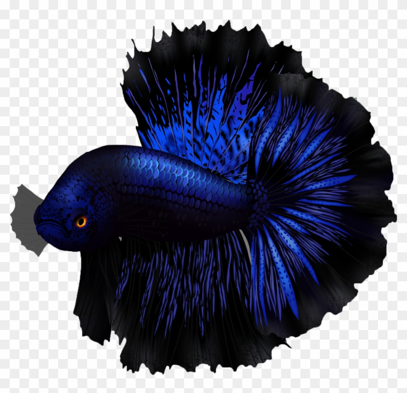 Betta Fish Name - Flightless Bird Clipart
