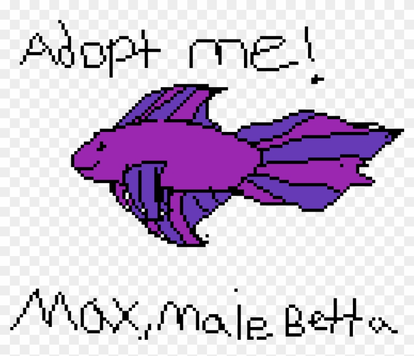 Male Betta Adoptable Clipart #3773691