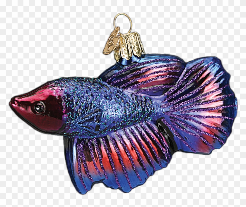 Animals - Betta Old World Clipart #3774199